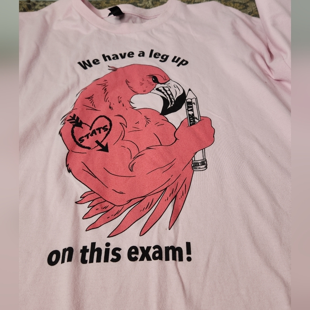 Unisex T-Shirt "Leg Up On Exams" - Gildan - Pink - 4XL